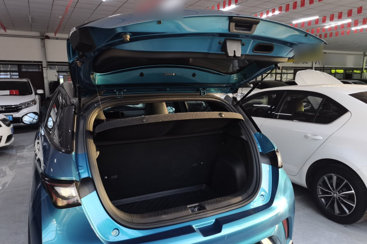 比亚迪 海豚 2021款 401km 骑士版机舱底盘23