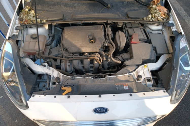 福特 福睿斯 2019款 改款 1.5L 自动悦享型 国VI局部细节24