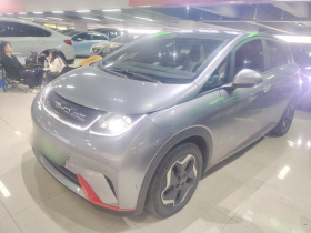 比亚迪 海豚 2021款 405km 时尚版