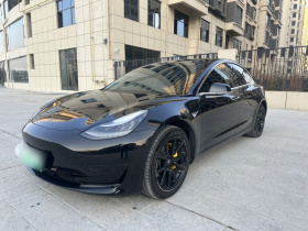 特斯拉 Model 3 2020款 改款 标准续航后驱升级版