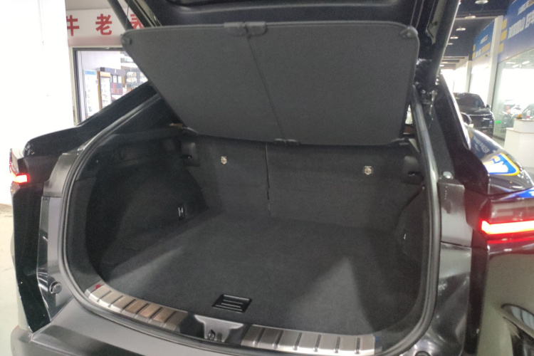 雷克萨斯RZ 2023款 450e 四驱纵享版局部细节23