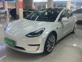 特斯拉 Model 3 2019款 标准续航后驱升级版
