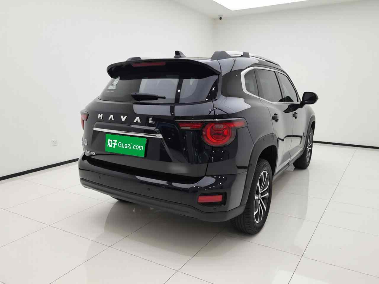 哈弗大狗 PLUS 2023款 1.5T 两驱潮野版Plus(5)