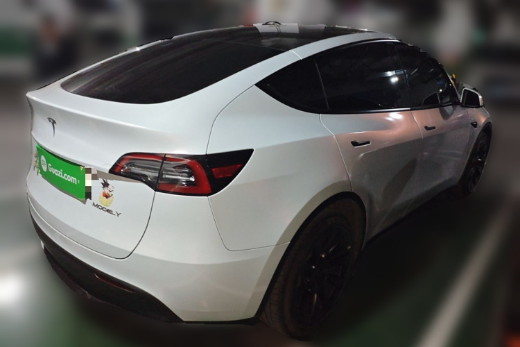 特斯拉 Model Y 2021款 标准续航后驱版车身外观6005