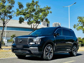 广汽传祺 传祺GS8 2017款 320T 两驱豪华智联版（七座）