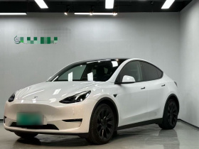 特斯拉 Model Y 2022款 长续航全轮驱动版
