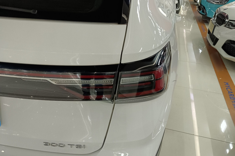 大众 途岳 2023款 300TSI 两驱新月版车身外观9