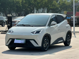 比亚迪 海鸥 2024款 荣耀版 305km 自由版