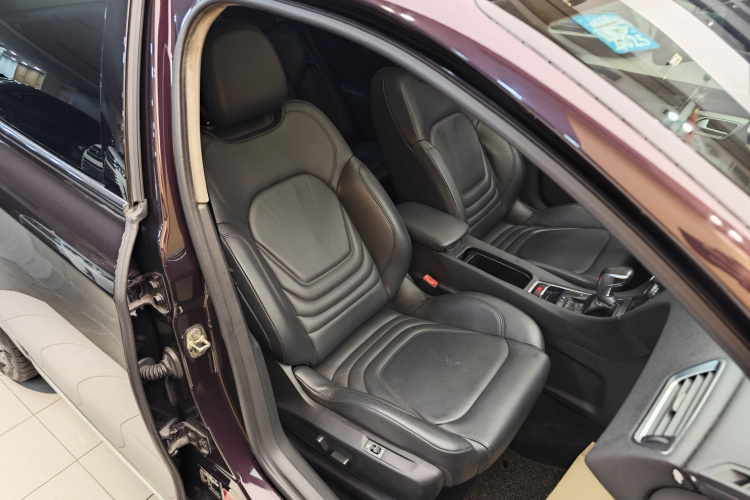 DS 5LS 2016款 1.6T 豪华版THP160局部细节41