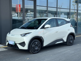 比亚迪 海鸥 2025款 智驾版 305km 活力版