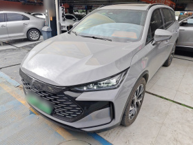 比亚迪 唐新能源 2025款 DM-i 115KM 旗舰型