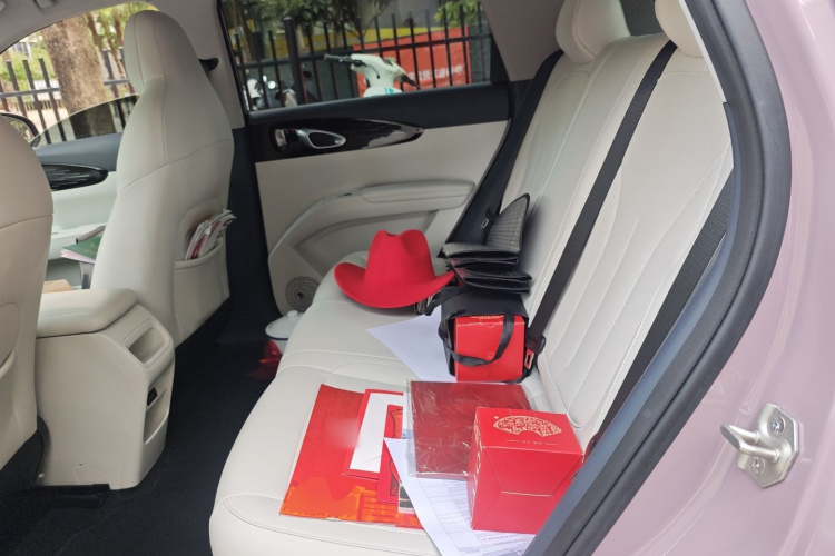 吉利银河 星愿 2025款 310km 梦想版中控内饰21