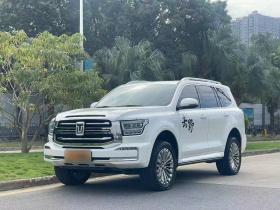 坦克500新能源 2023款 Hi4-T