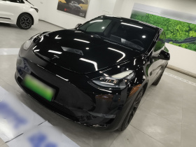 特斯拉 Model Y 2022款 改款 长续航全轮驱动版