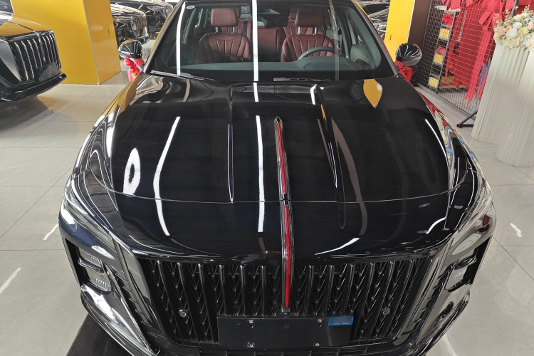 红旗H5 2025款 2.0T 自动玄影200万辆纪念版车身外观6001