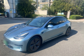 特斯拉 Model 3 2020款 标准续航后驱升级版