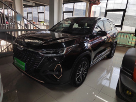 奇瑞 瑞虎8 PRO 2022款 290T 两驱浩瀚版 5座