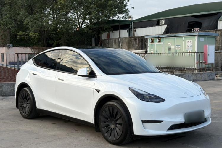 特斯拉 Model Y 2021款 标准续航后驱版车身外观6006