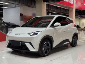 比亚迪 海鸥 2023款 飞翔版