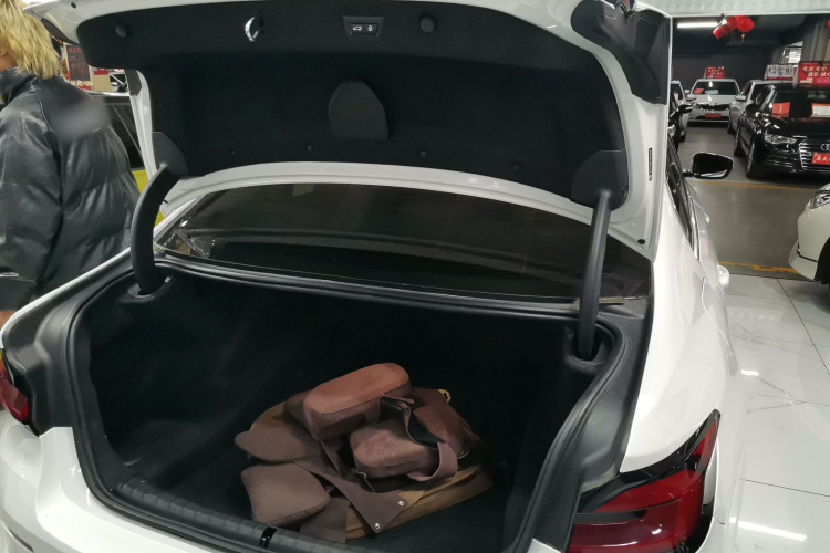 宝马5系 2021款 530Li xDrive 豪华套装局部细节23