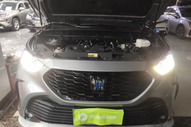 丰田 皇冠陆放 2021款  2.5L HEV两驱精英版局部细节24