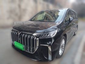 岚图汽车 岚图梦想家 2022款 低碳版 想+智驾包