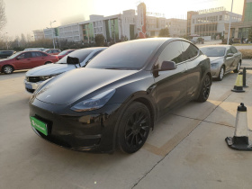 特斯拉 Model Y 2021款 长续航全轮驱动版