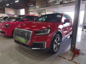 奥迪Q2L e-tron 2019款 Q2L e-tron 纯电智享型