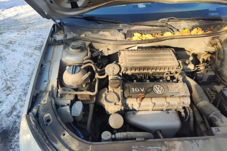 大众 朗逸 2011款 1.6L 自动品雅版局部细节9006