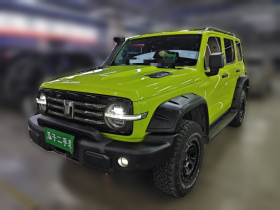 坦克300 2022款 2.0T 坦克游侠