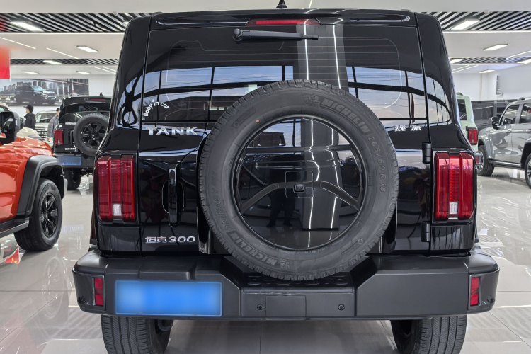 坦克300 2021款 城市版 2.0T 很有型车身外观6005