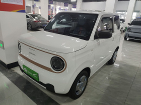 吉利银河 2024款 熊猫mini 200km 耐力熊