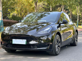 特斯拉 Model Y 2023款 后轮驱动版