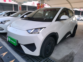 比亚迪 海鸥 2025款 智驾版 305km 活力版