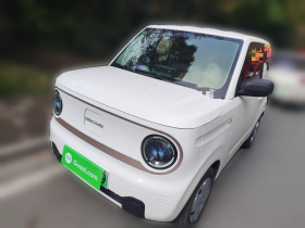 吉利银河 2023款 熊猫mini 200km 耐力熊