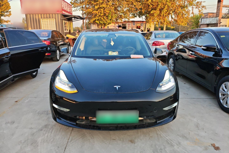 特斯拉 Model 3(进口) 2019款 长续航全轮驱动版车身外观2