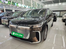 岚图汽车 岚图梦想家 2025款 PHEV 四驱尊贵鲲鹏版