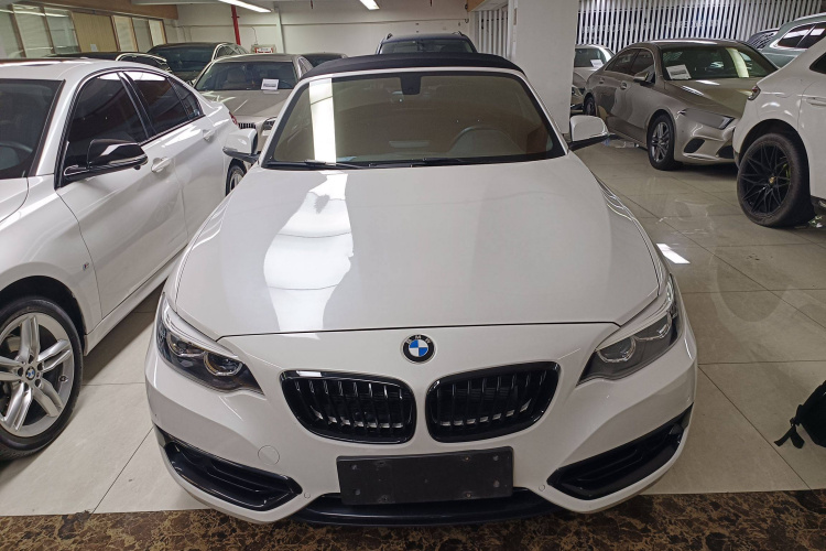 宝马2系(进口) 2019款 225i 敞篷轿跑车 运动设计套装车身外观2