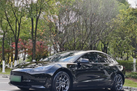 特斯拉 Model 3 2022款 后轮驱动版