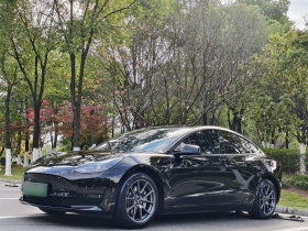 特斯拉 Model 3 2022款 后轮驱动版