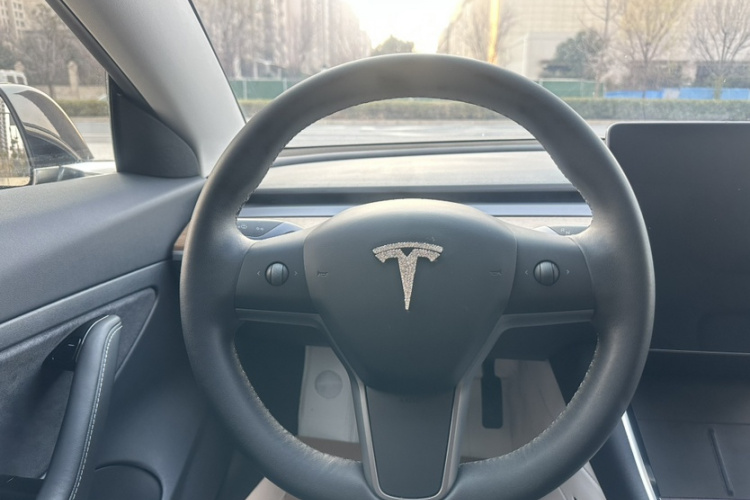 特斯拉 Model 3 2020款 改款 标准续航后驱升级版局部细节13