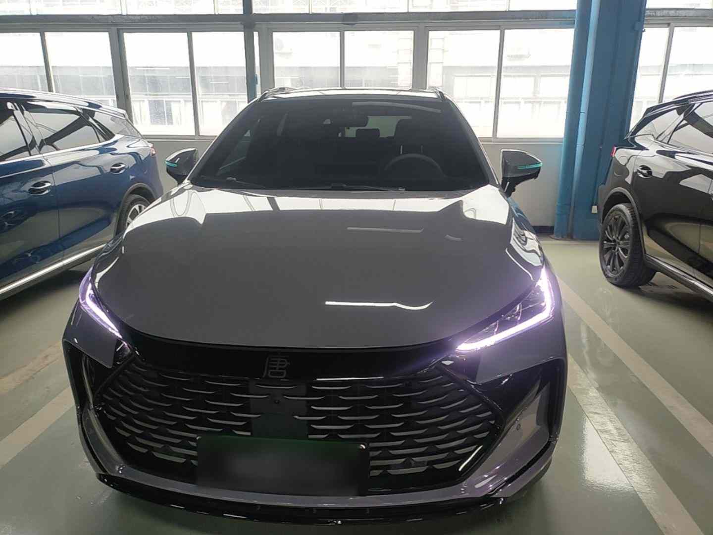 比亚迪 唐新能源 2025款 智驾版 DM-i 115KM 尊贵型(1)
