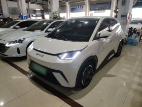 比亚迪 海鸥 2023款 自由版