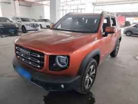 哈弗大狗 2021款 1.5T DCT两驱拉布拉多版