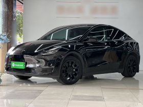 特斯拉 Model Y 2021款 标准续航后驱版
