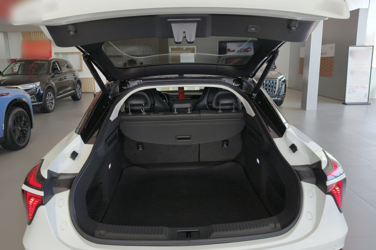 红旗H6 2024款 2.0T 致美版局部细节23