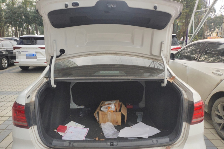 大众 2019款 朗逸启航 1.5L 自动舒适版 国VI局部细节23