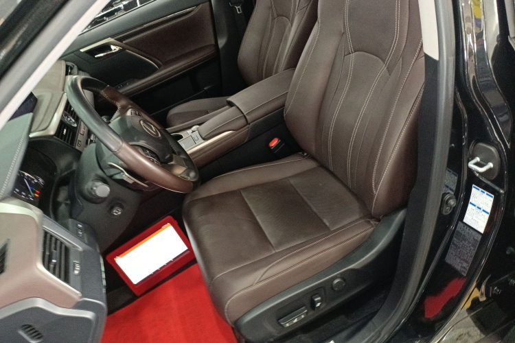 雷克萨斯RX 2021款 300 四驱特别版局部细节19