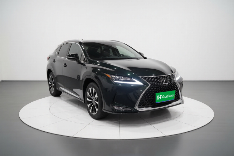 雷克萨斯RX 2020款 改款 300 两驱精英版车身外观3