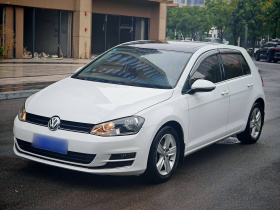 大众 高尔夫 2015款 1.6L 自动舒适型
